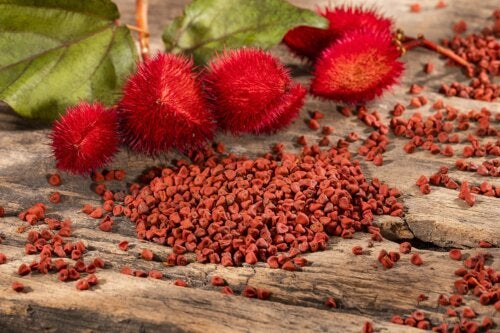 Colorau: origem, características e usos