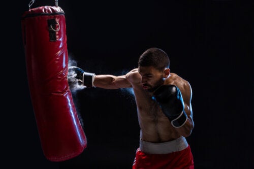 Canelo Álvarez compartilha seus exercícios de treinamento com os seguidores