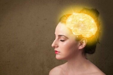Curiosidades sobre o cérebro feminino