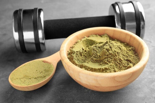 Proteína de cânhamo em pó: usos, propriedades e recomendações