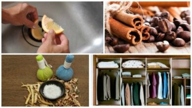 8 truques para eliminar odores desagradáveis de locais fechados
