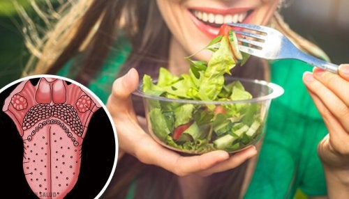 O paladar: a língua e suas funções