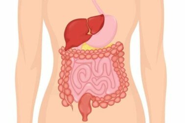 Limpar o intestino ou cuidar dele naturalmente?
