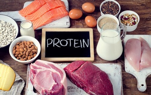Quanta proteína o corpo pode absorver em cada refeição?