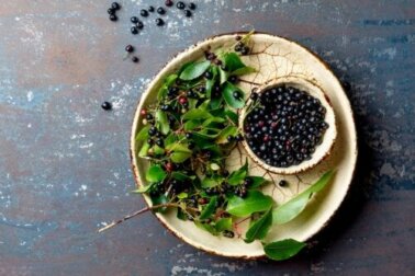 Baga de maqui: nutrientes, benefícios e utilizações