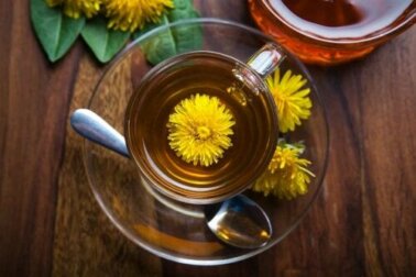 Dente-de-leão, o grande limpador para limpar o corpo