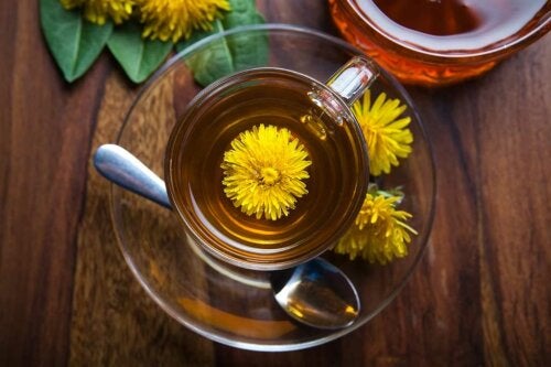 Dente-de-leão, o grande limpador para limpar o corpo