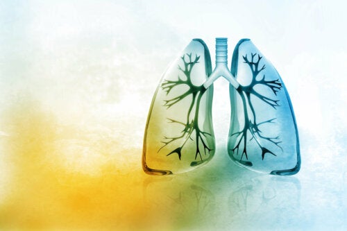Como purificar os pulmões naturalmente em 3 dias