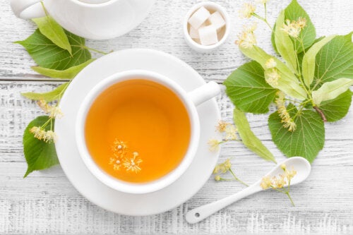 Chá de tília: utilizações, benefícios e contra-indicações