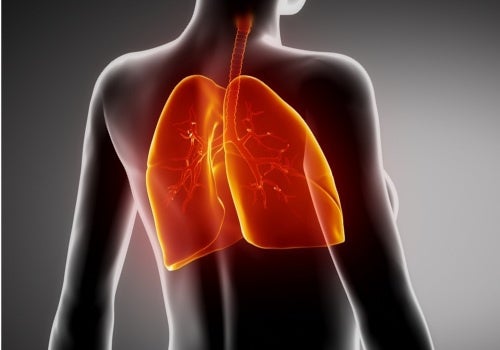 Fibrose pulmonar: como ela é tratada e como obter alívio