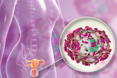 Os probióticos influenciam a flora vaginal?