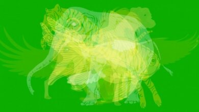 O primeiro animal que você enxergar na imagem diz muito sobre você