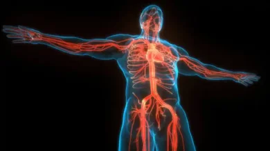 Arterite de Takayasu: inflamação crônica dos vasos sanguíneos