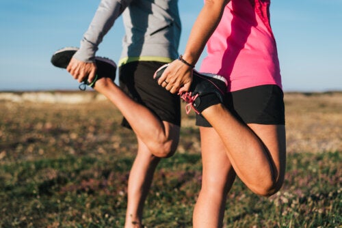 Importância da mobilidade articular