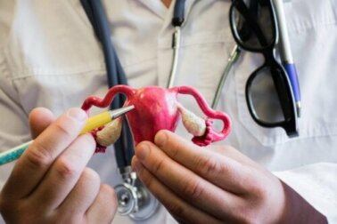 Tudo o que você precisa saber sobre a saúde do útero
