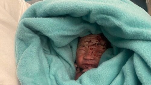 Bebê recém-nascido foi deixado no lixo do banheiro em um avião