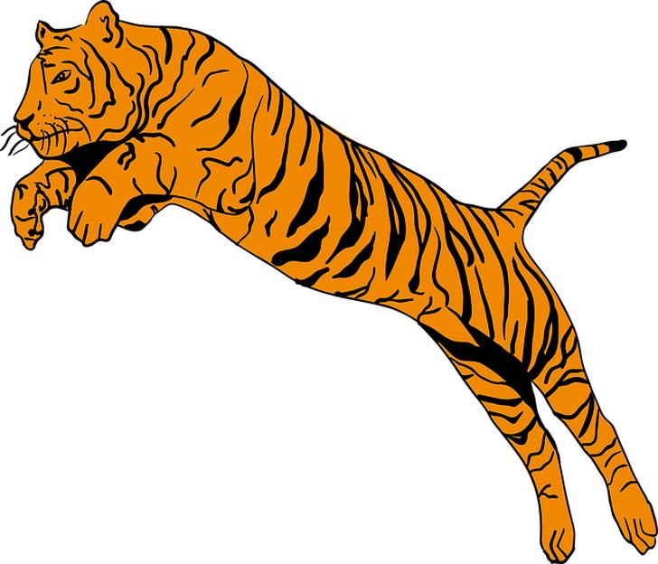 Primeiro animal que você enxergar: tigre?