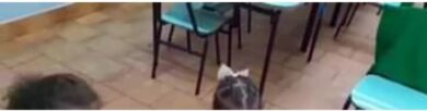 Pai flagra professora xingando aluna durante a aula: "Menina chata"