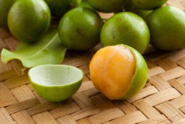 5 benefícios de comer mamoncillo