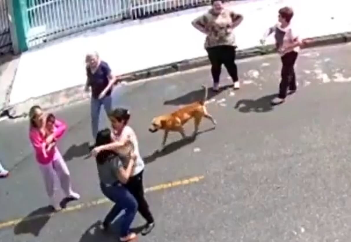 Policial de férias ajuda a salvar bebê