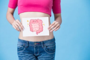 Tipos de fibras que mais ajudam a microbiota