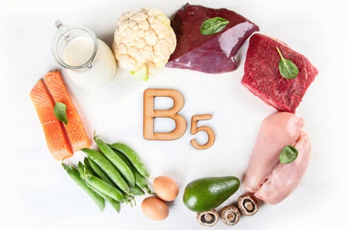 Ácido pantotênico ou vitamina B5: funções e alimentos que o contêm