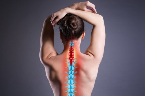 Osteófitos: o que são, sintomas e tratamentos