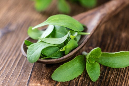 Stevia líquida caseira: nutrientes e como prepará-la