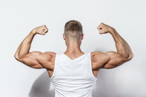 Valina: como intervém no aumento da massa muscular?