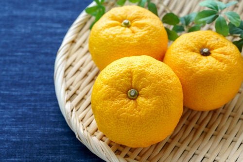 Benefícios do yuzu: um cítrico japonês que fornece vitamina C