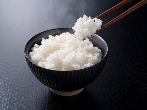 Proteína de arroz: principais benefícios