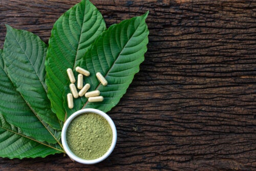 Kratom: é seguro para controlar os vícios?