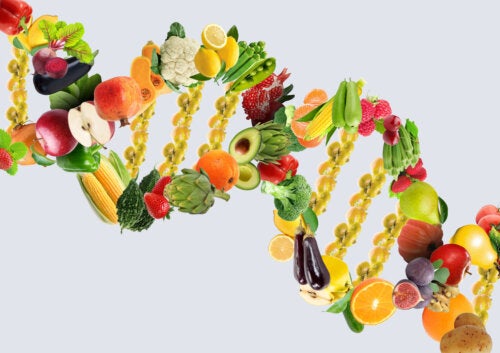 Como a nutrigenômica contribui para a sua saúde?