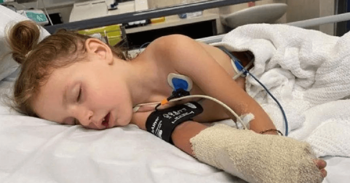 Menina de 3 anos é salva pela avó após ser picada por cobra venenosa