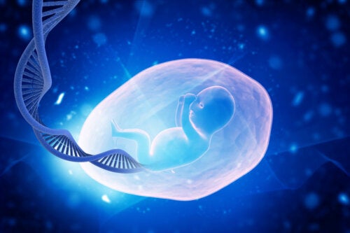 Você pode ter uma tendência genética a abortos recorrentes?