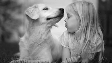 A morte de um animal de estimação dói igual a de um familiar