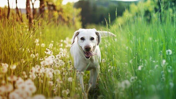 Direitos autorais: Reprodução