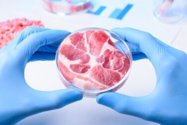 Vantagens e desvantagens da carne sintética