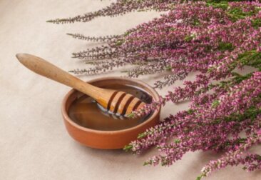 Mel de urze: benefícios, consumo e contraindicações