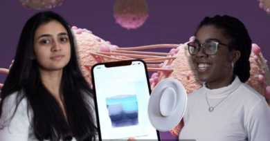 Dupla cria dispositivo portátil que ajuda na detecção precoce do câncer de mama