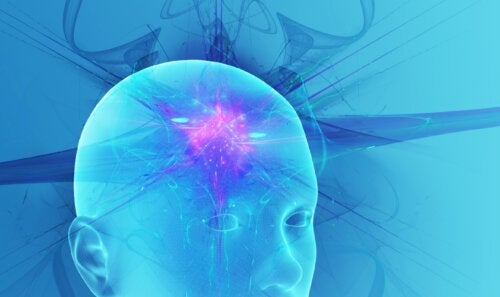 Quais são os diferentes estados de consciência humana?