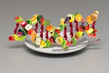 O que é a dieta do DNA?