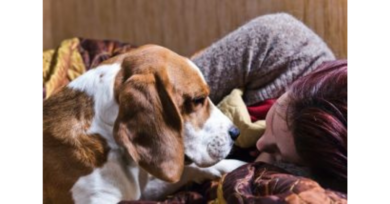 Luto com animais: os pets podem ajudar a superar a dor e a tristeza