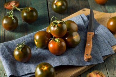 Kumato ou tomate preto: nutrientes e características
