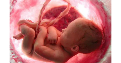 Você sabe para onde vão o xixi e o cocô do bebê quando ele está na barriga da mãe?