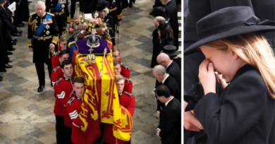 Morte da Rainha Elizabeth: como falar sobre a morte com crianças?