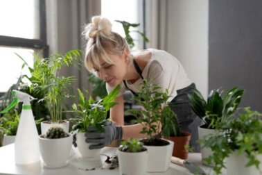Quelato de ferro: como pode beneficiar suas plantas?