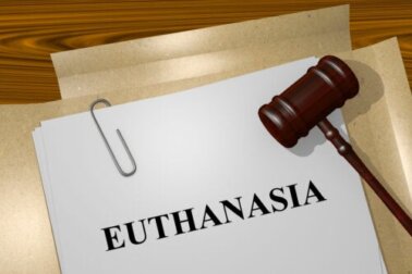 Tipos de eutanásia que você deve conhecer