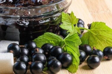 Cassis ou groselha negra: usos, nutrição e propriedades