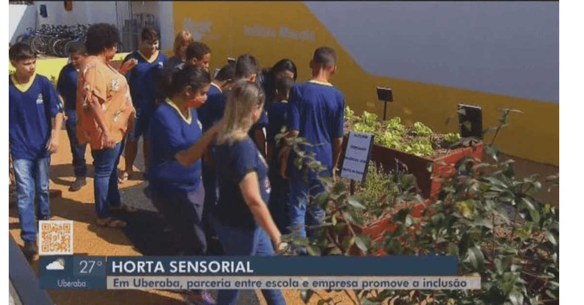 Conheça o projeto de horta sensorial que estimula a inclusão de estudantes com deficiência em escola municipal de Uberaba